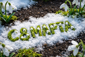 С Международным женским днем! Измененный график работы в праздники